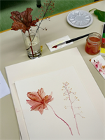 Naturschulkurs+-+Botanische+Illustration%2c+Aquarell+-+Herbstfarben+und+F%c3%bclle+%5b027%5d